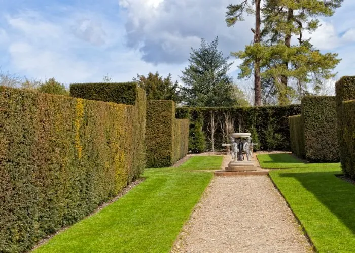 Reliable yard maintenance experts serving Providence, RI - Rhode Island Landscaping And Design