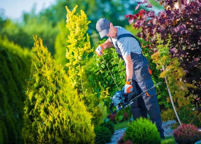 Custom lawn care service experts serving Providence, RI - Rhode Island Landscaping And Design