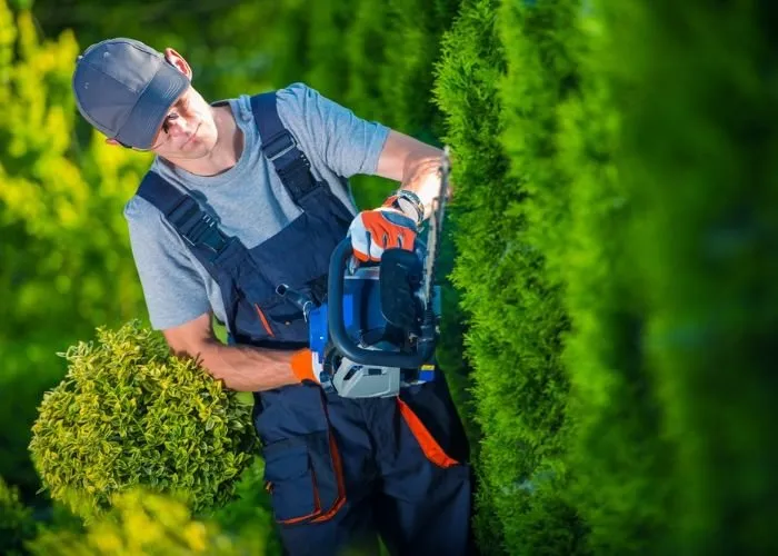 Affordable garden landscaping experts serving Providence, RI - Rhode Island Landscaping And Design