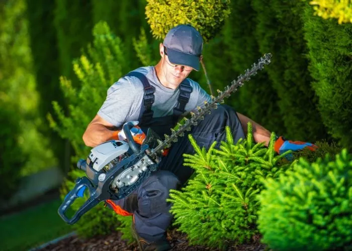 Custom landscape design experts serving Providence, RI - Rhode Island Landscaping And Design