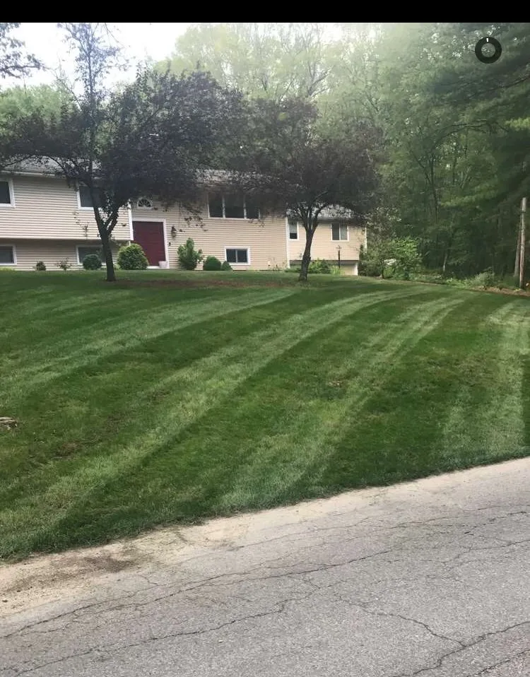 Expert yard cleanup service for residential properties in Warwick, RI by Rhode Island Turf Management