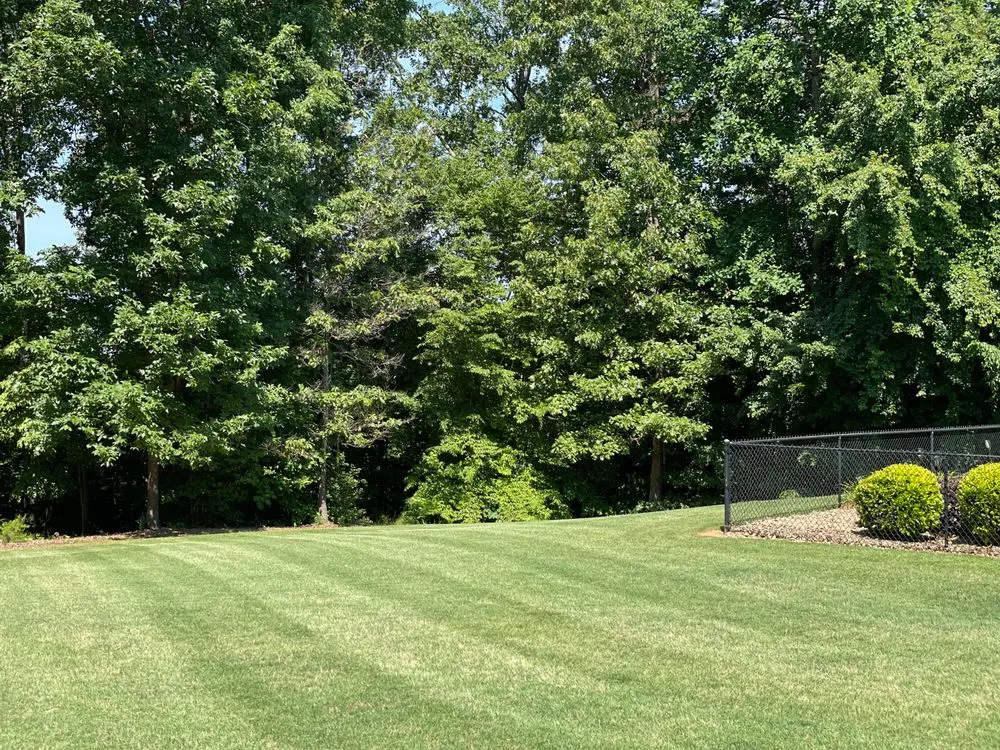 Custom lawn care service in Woodruff, SC - Rhodes Landscaping