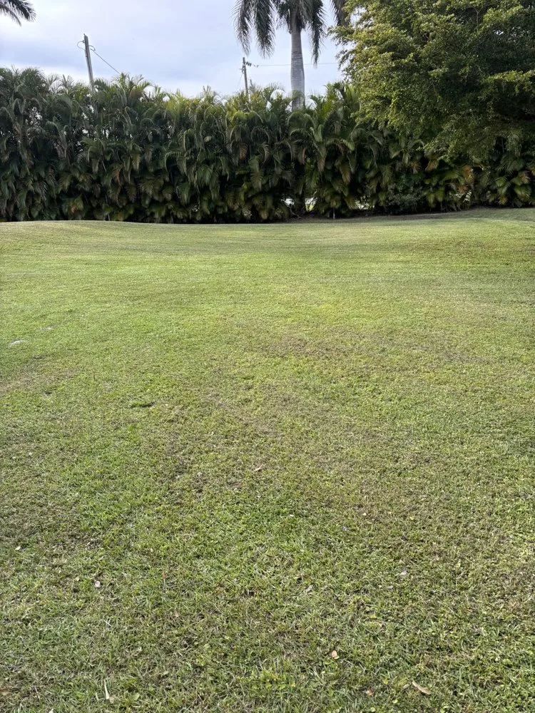 Expert lawn mowing service with custom design in Cape Coral, FL by Rhodes Lawn Care & Home Repairs