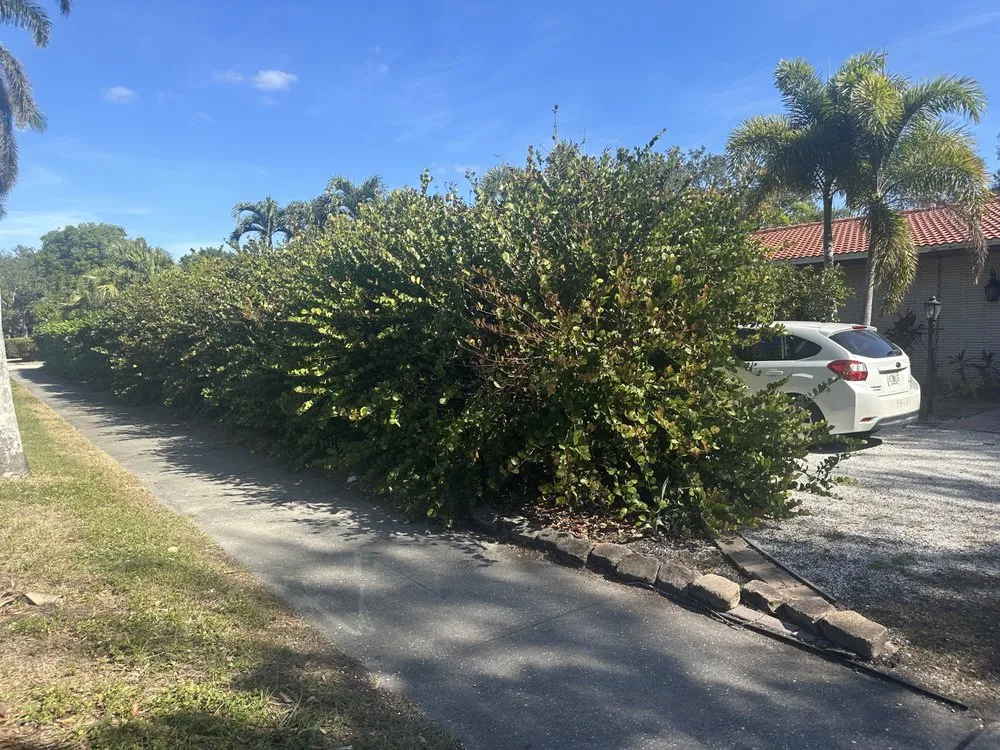 Local lawn mowing service near you across Cape Coral, FL - Rhodes Lawn Care & Home Repairs