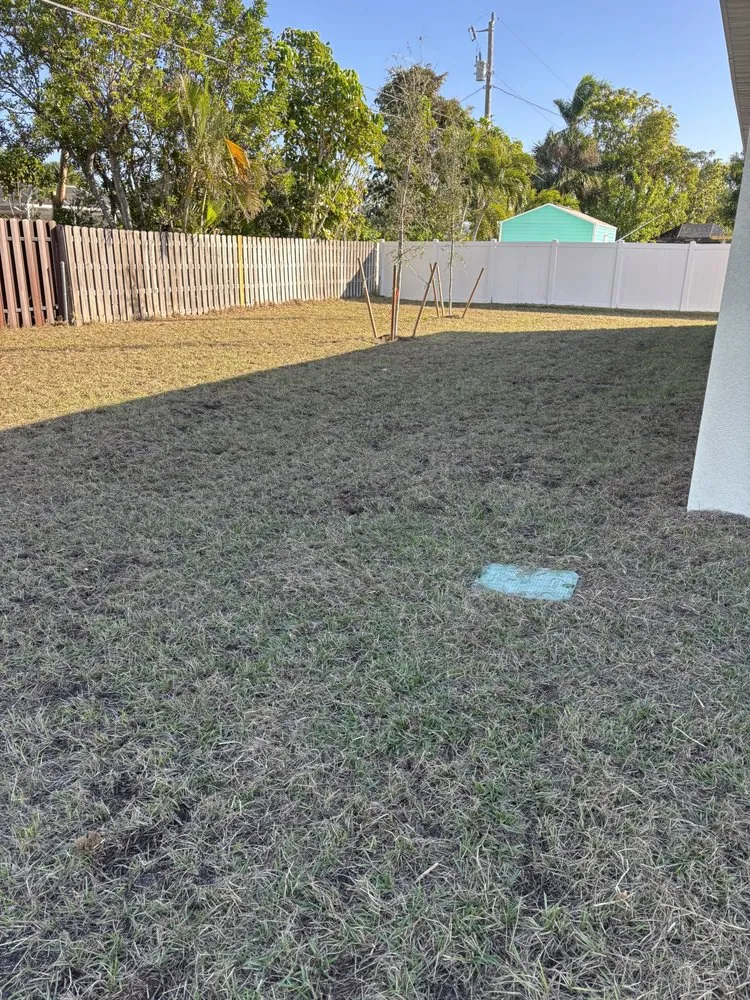 Local outdoor landscaping experts serving Cape Coral, FL - Rhodes Lawn Care & Home Repairs