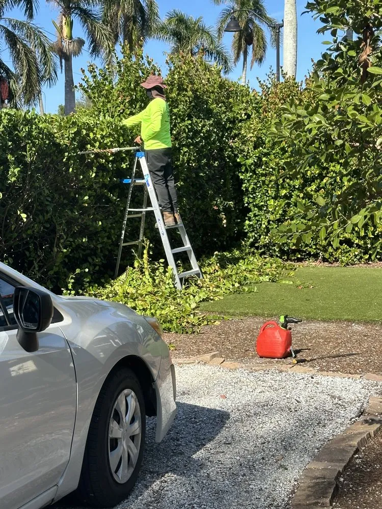 Professional landscaping services with custom design in Cape Coral, FL by Rhodes Lawn Care & Home Repairs