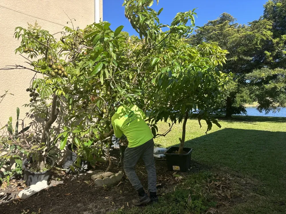 Professional landscape design for beautiful yards across Cape Coral, FL - Rhodes Lawn Care & Home Repairs