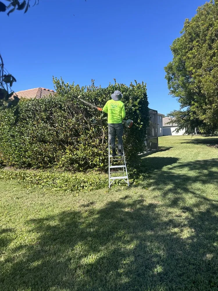 Reliable outdoor landscaping in Cape Coral, FL by Rhodes Lawn Care & Home Repairs