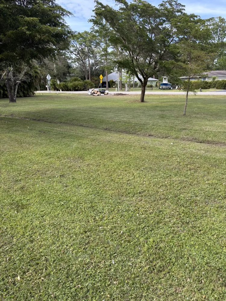Top-rated garden landscaping in Cape Coral, FL - Rhodes Lawn Care & Home Repairs