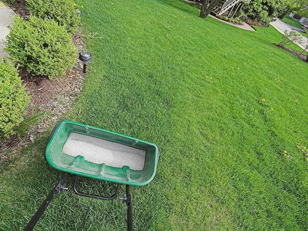 Affordable landscape installation for year-round maintenance in Marathon City, WI by Rhodes Lawn Care