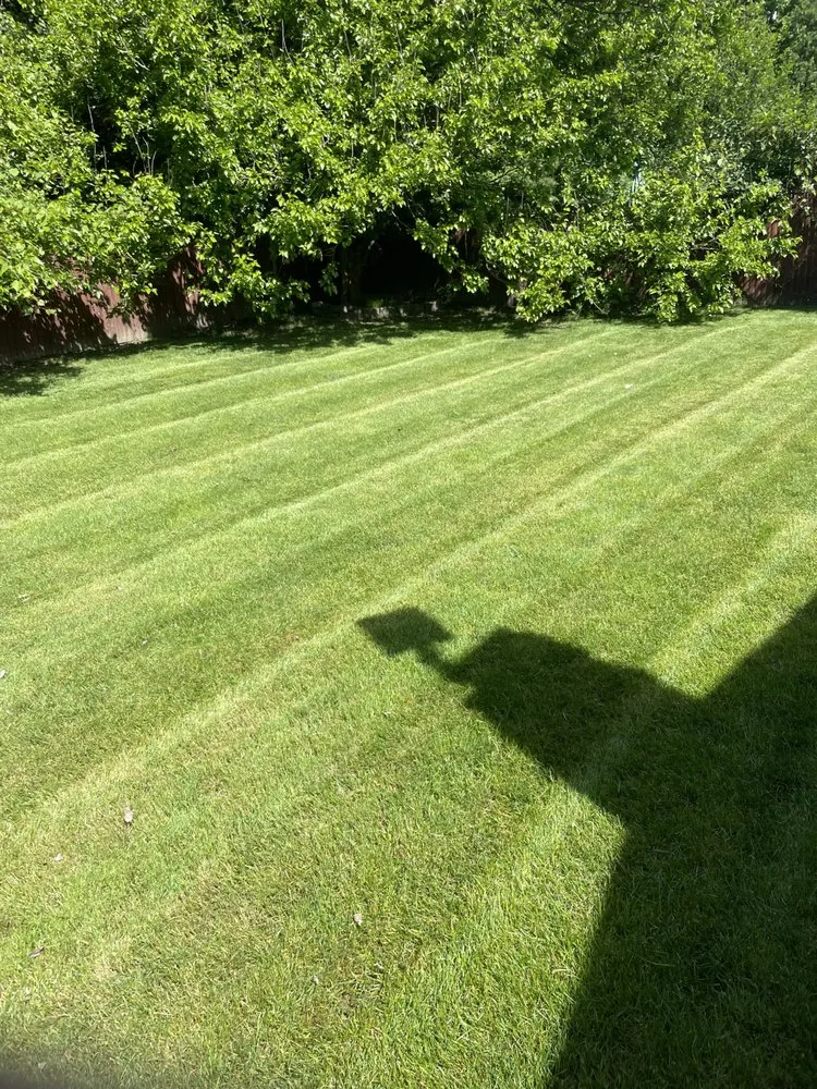 Affordable outdoor landscaping in Belleville, MI by Rhodesgreencare