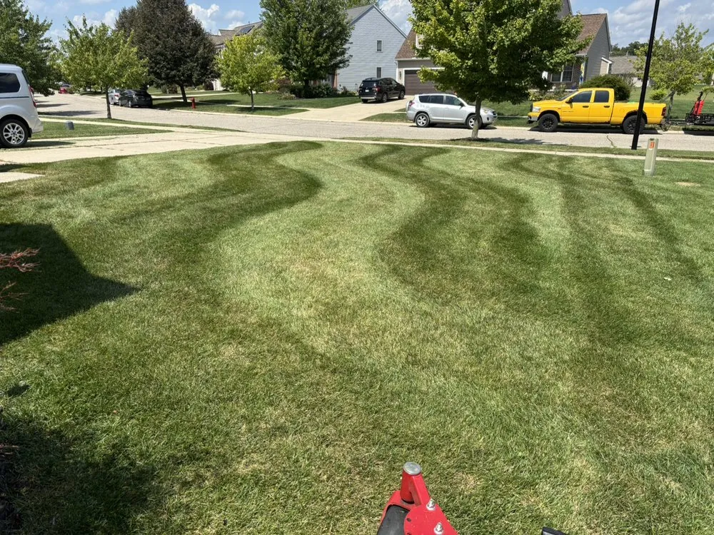 Affordable garden landscaping for year-round maintenance in Belleville, MI by Rhodesgreencare