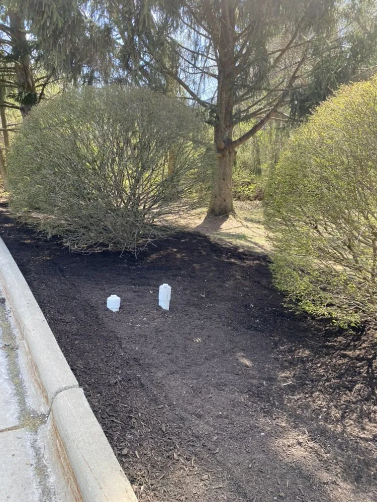 Reliable yard maintenance experts serving Belleville, MI - Rhodesgreencare