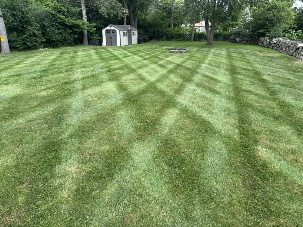 Professional yard maintenance for outdoor upgrades across Belleville, MI - Rhodesgreencare