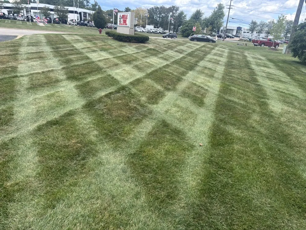 Top-rated residential landscaping for residential properties across Belleville, MI - Rhodesgreencare