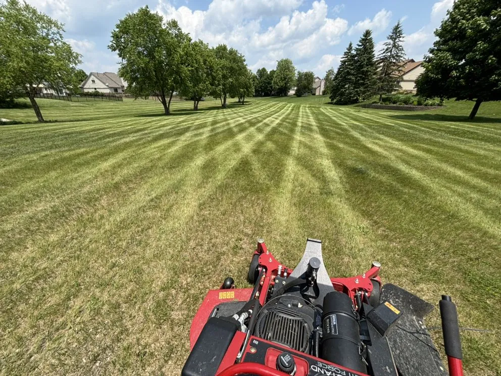 Local landscape design in Belleville, MI by Rhodesgreencare