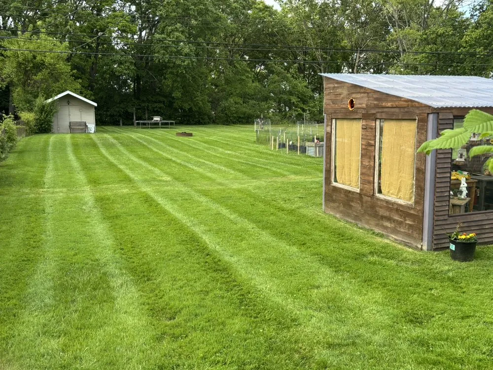 Top-rated garden landscaping experts serving Belleville, MI - Rhodesgreencare