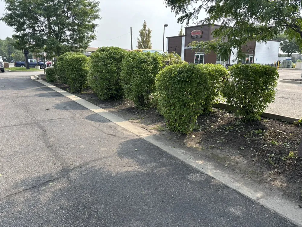 Trusted landscape installation for homes in Belleville, MI by Rhodesgreencare