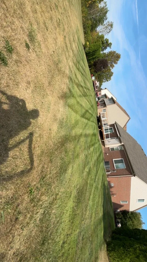 Reliable residential landscaping experts serving Belleville, MI - Rhodesgreencare