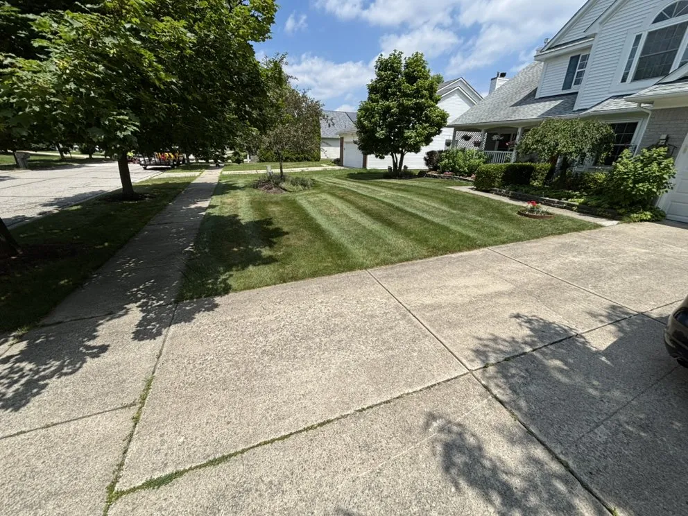 Local garden landscaping in Belleville, MI by Rhodesgreencare