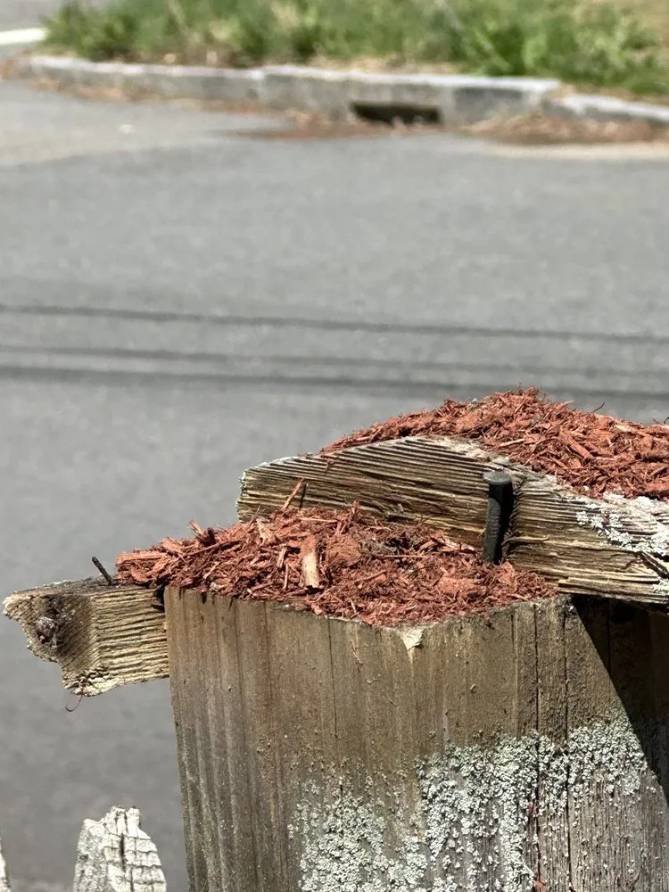 Affordable yard maintenance in Milton, MA - Rhudd's Landscape & Design