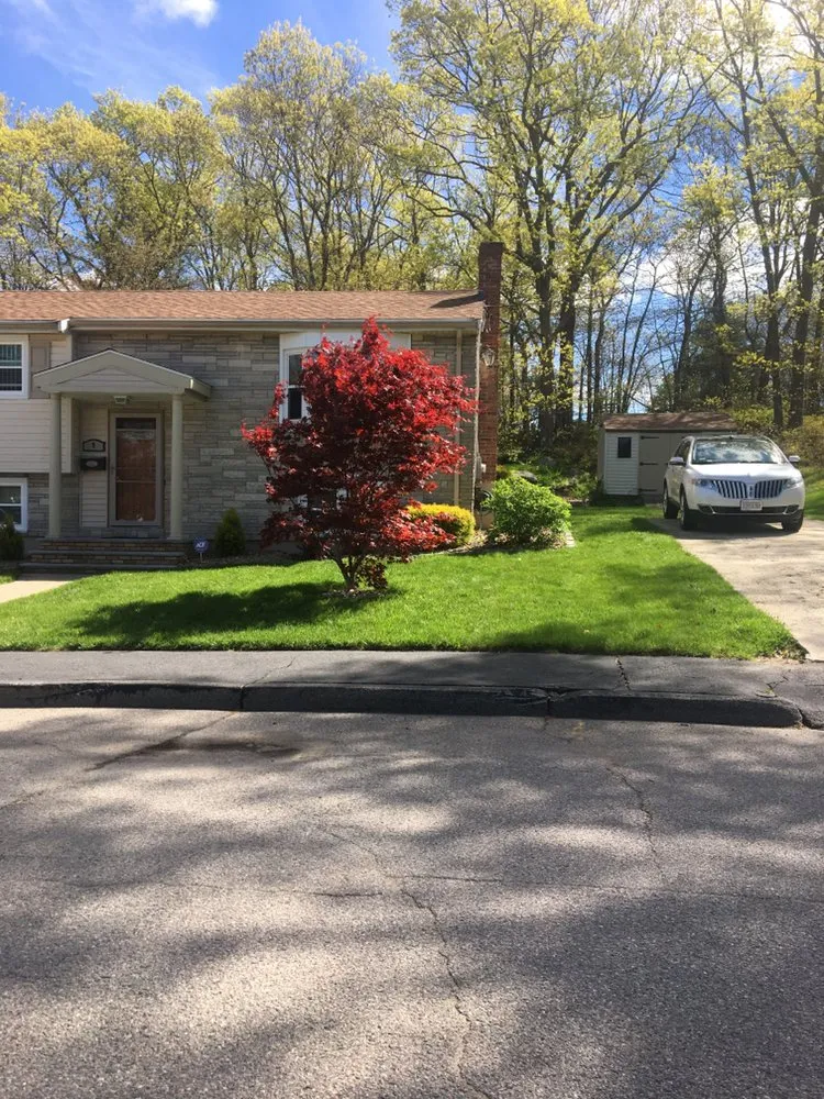 Expert yard cleanup service in Milton, MA by Rhudd's Landscape & Design