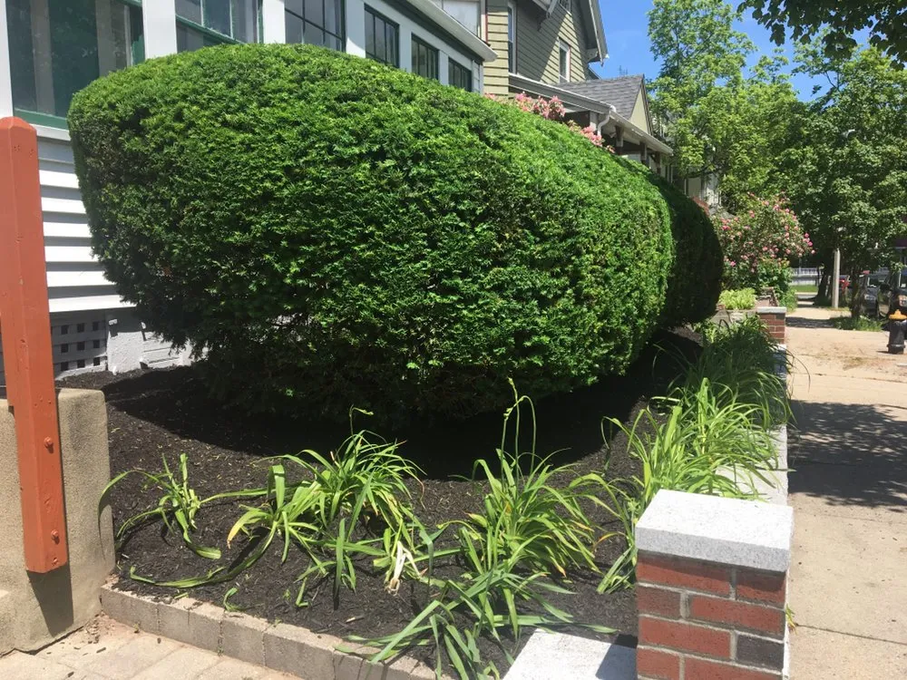 Top-rated lawn care service experts serving Milton, MA - Rhudd's Landscape & Design