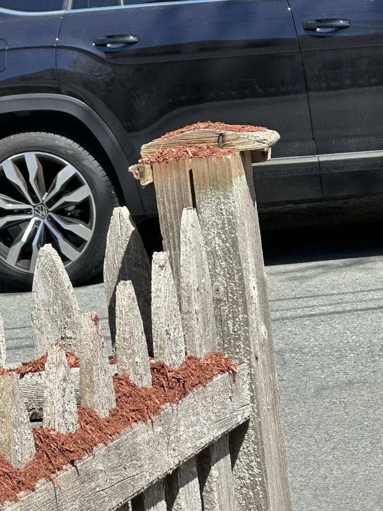 Affordable yard cleanup service in Milton, MA by Rhudd's Landscape & Design