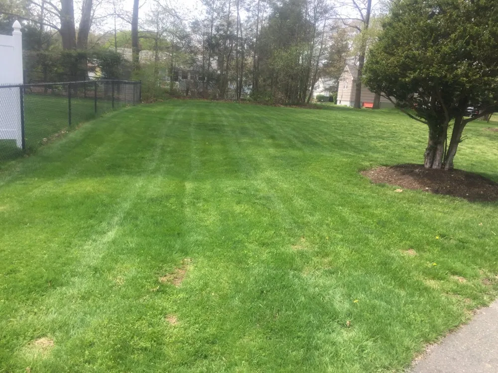 Top-rated landscape installation in Milton, MA - Rhudd's Landscape & Design