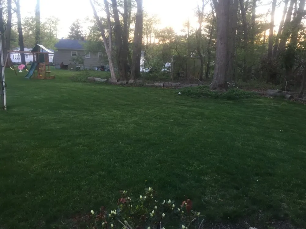 Custom lawn care service for year-round maintenance in Milton, MA by Rhudd's Landscape & Design