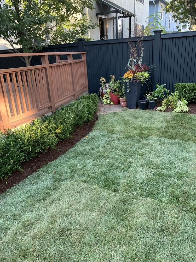 Custom yard cleanup service near you in Milton, MA by Rhudd's Landscape & Design