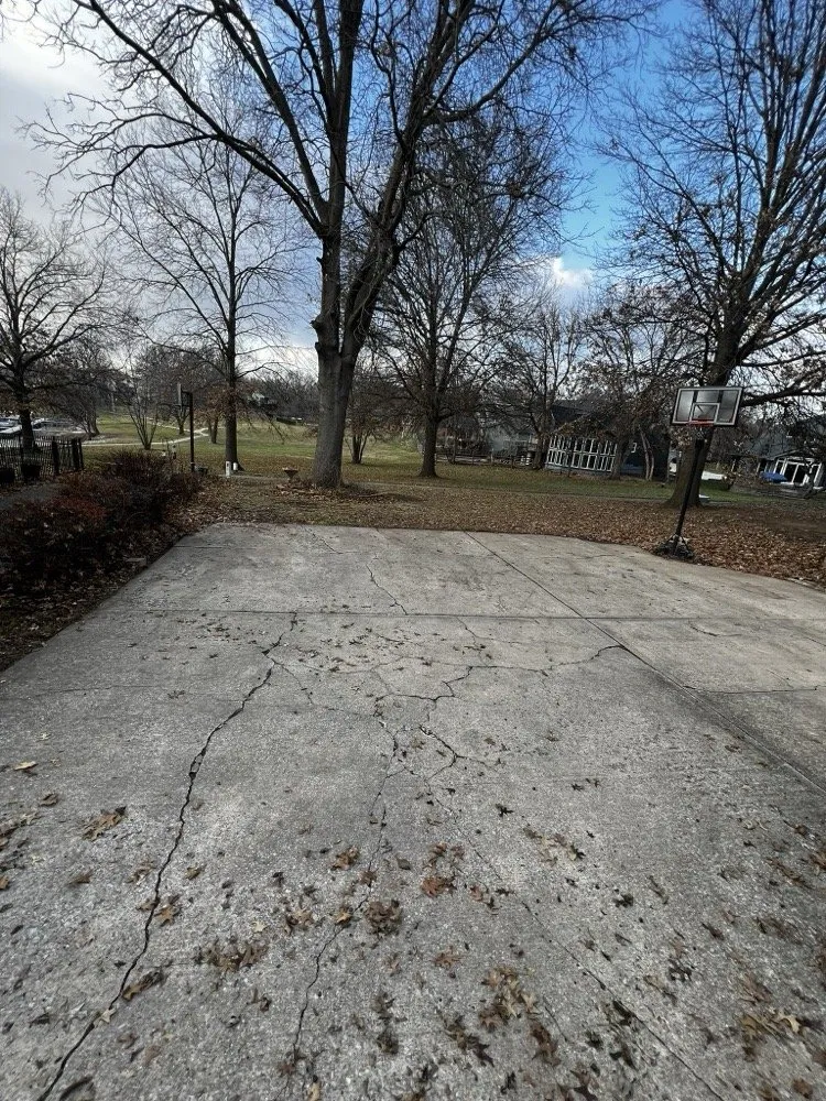 Reliable landscaping services experts serving Lee's Summit, MO - Rhyno Fix