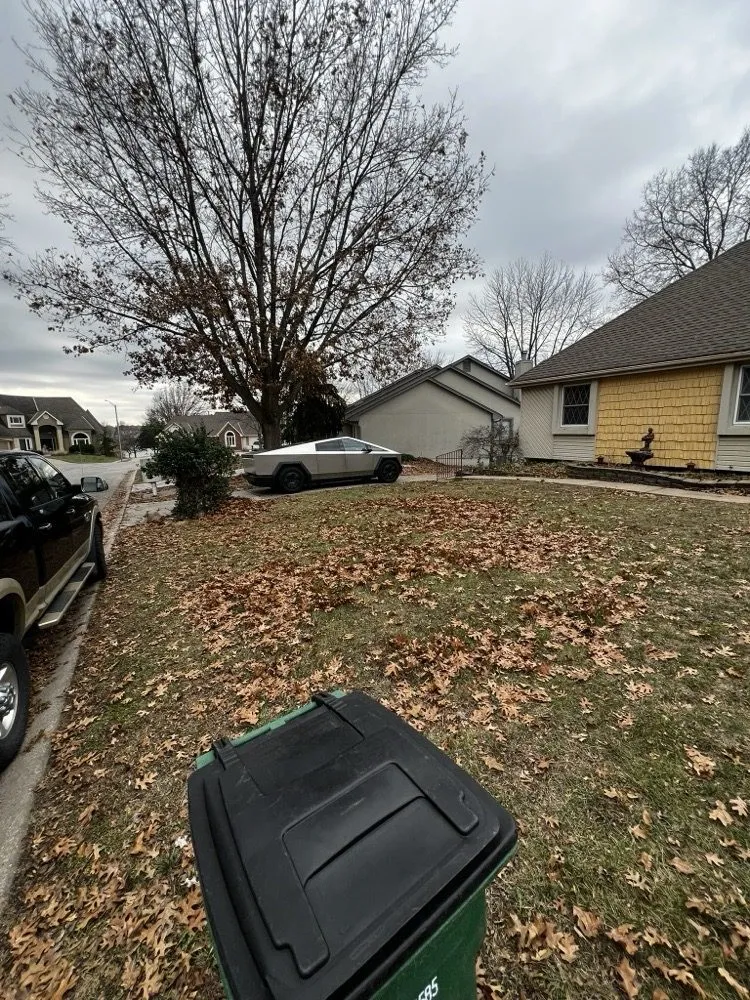 Professional lawn care service experts serving Lee's Summit, MO - Rhyno Fix