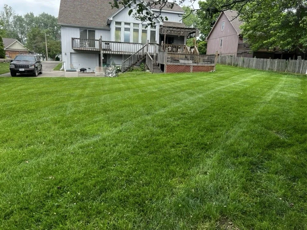 Reliable garden landscaping experts serving Lee's Summit, MO - Rhyno Fix