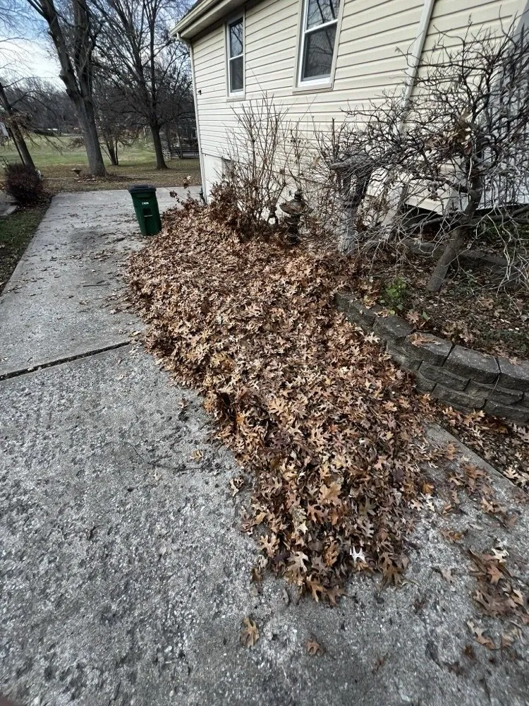 Top-rated landscaping services in Lee's Summit, MO by Rhyno Fix