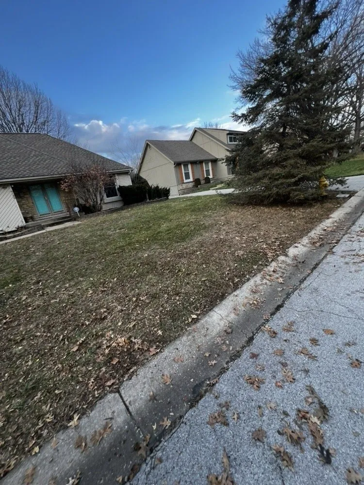 Trusted lawn care service in Lee's Summit, MO - Rhyno Fix