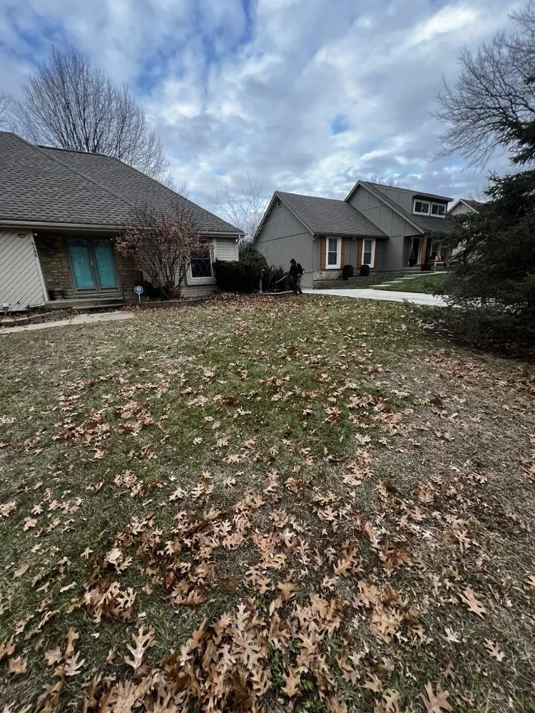 Trusted lawn mowing service in Lee's Summit, MO - Rhyno Fix