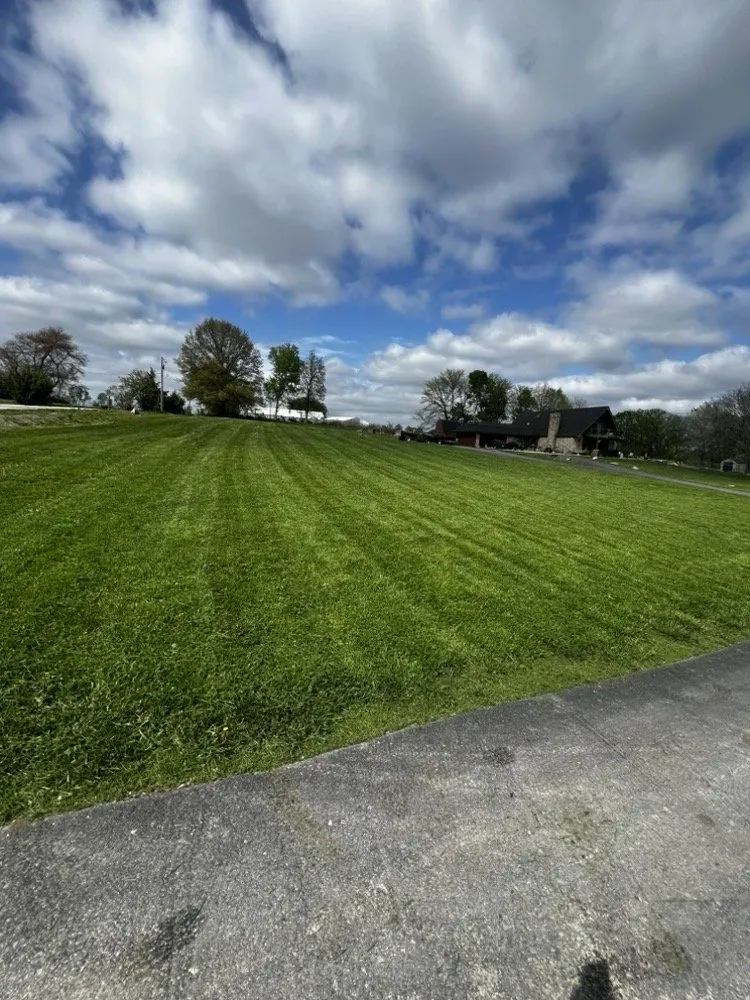 Trusted lawn care service in Lee's Summit, MO by Rhyno Fix