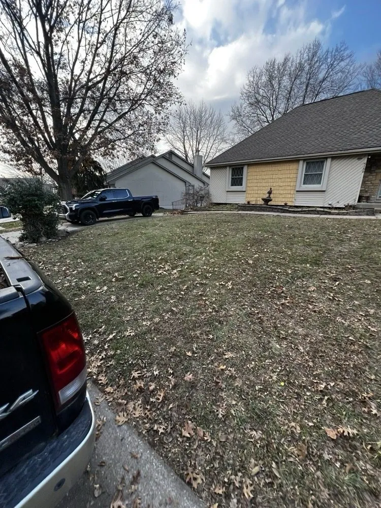 Affordable garden landscaping near you in Lee's Summit, MO by Rhyno Fix