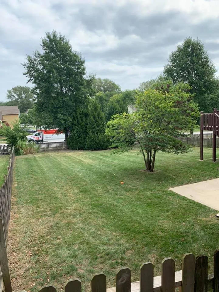 Top-rated lawn mowing service in Belton, MO by Rhyno Lawn Pros