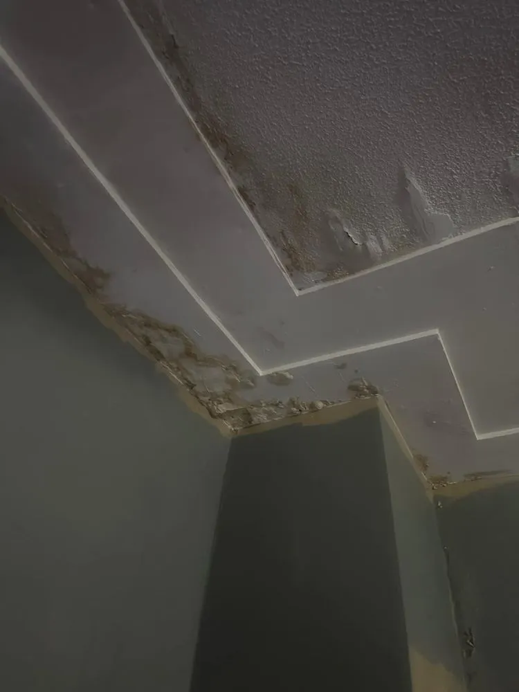 Professional yard maintenance in Kankakee, IL by Rhyno's Painting Pro's