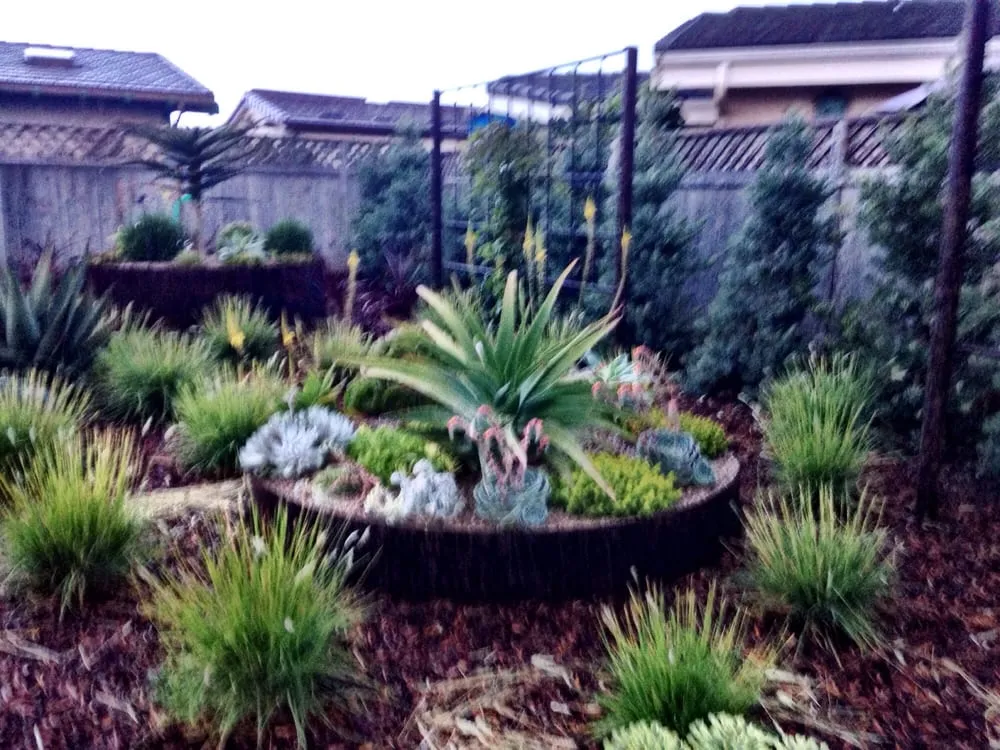 Affordable outdoor landscaping experts serving Morro Bay, CA - Rhythm & Roots