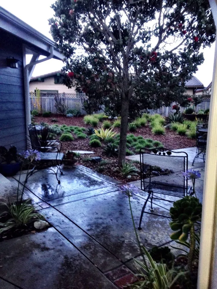 Custom yard maintenance for residential properties across Morro Bay, CA - Rhythm & Roots