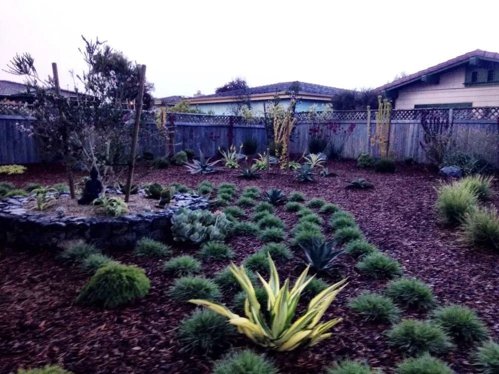 Top-rated lawn care service for year-round maintenance in Morro Bay, CA by Rhythm & Roots