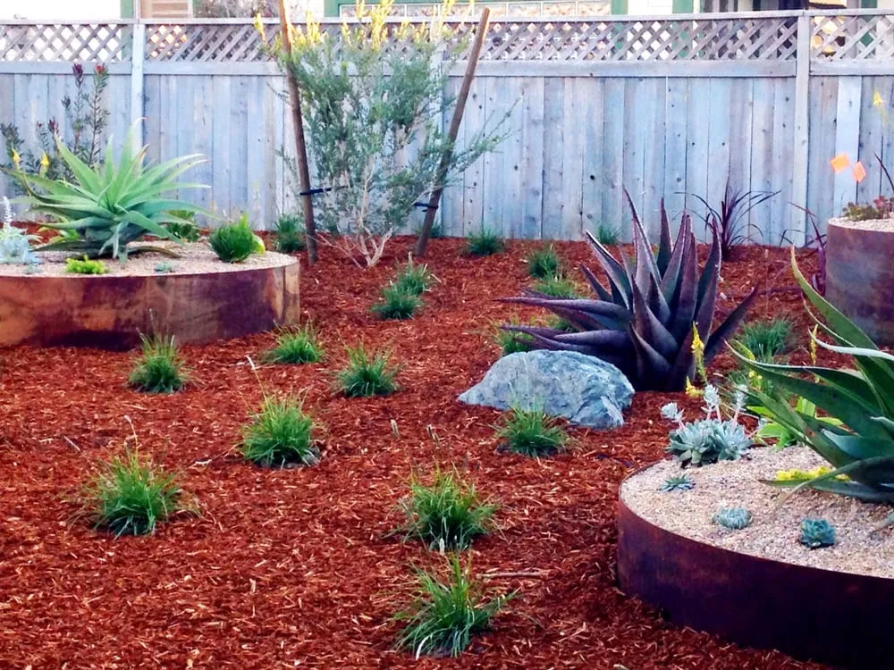 Affordable outdoor landscaping for year-round maintenance across Morro Bay, CA - Rhythm & Roots