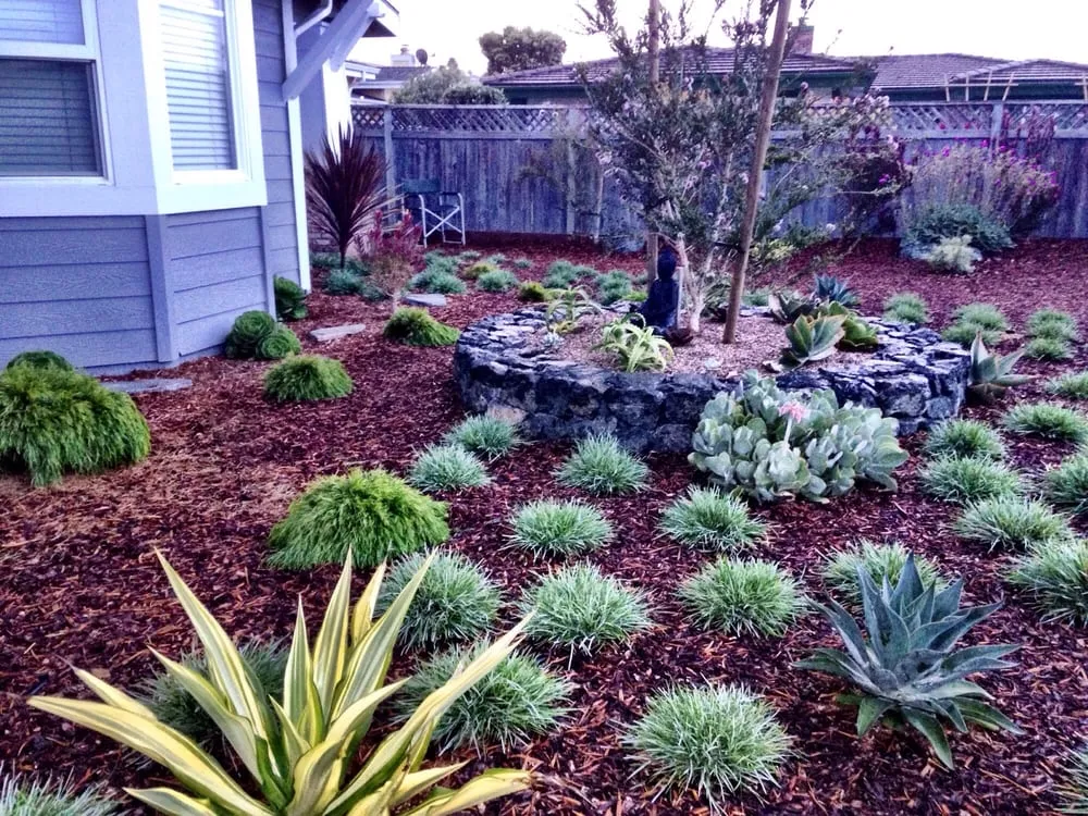 Affordable yard maintenance for beautiful yards in Morro Bay, CA by Rhythm & Roots