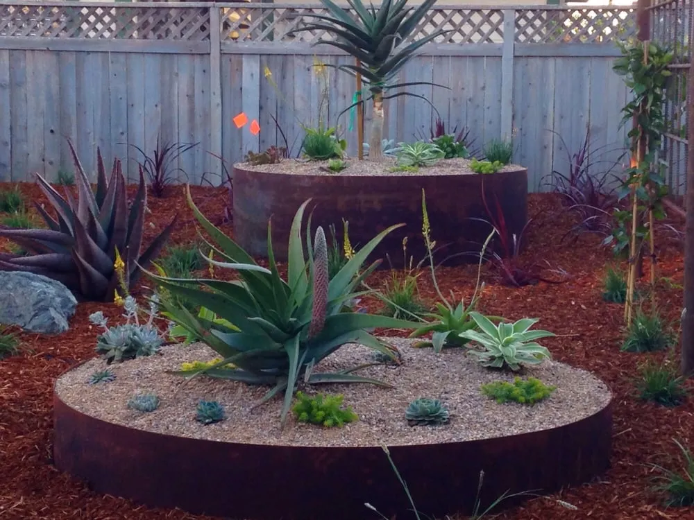 Affordable landscape design in Morro Bay, CA - Rhythm & Roots