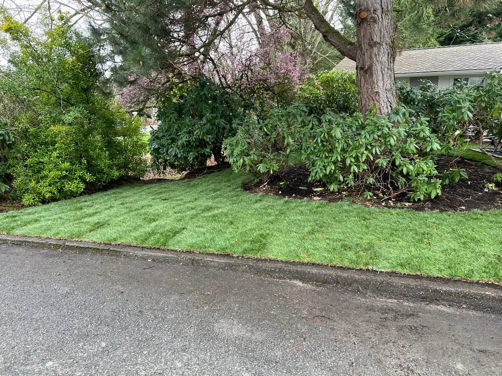 Custom yard cleanup service in Snohomish, WA by Rial Landscaping