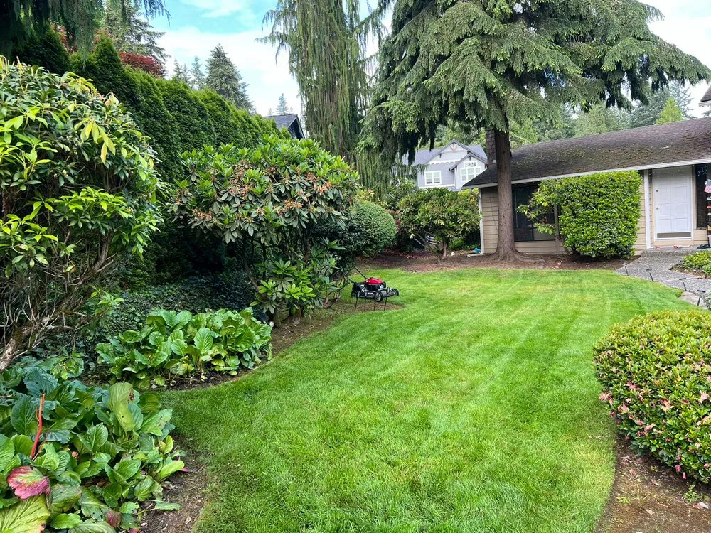 Top-rated landscaping services for homes in Snohomish, WA by Rial Landscaping