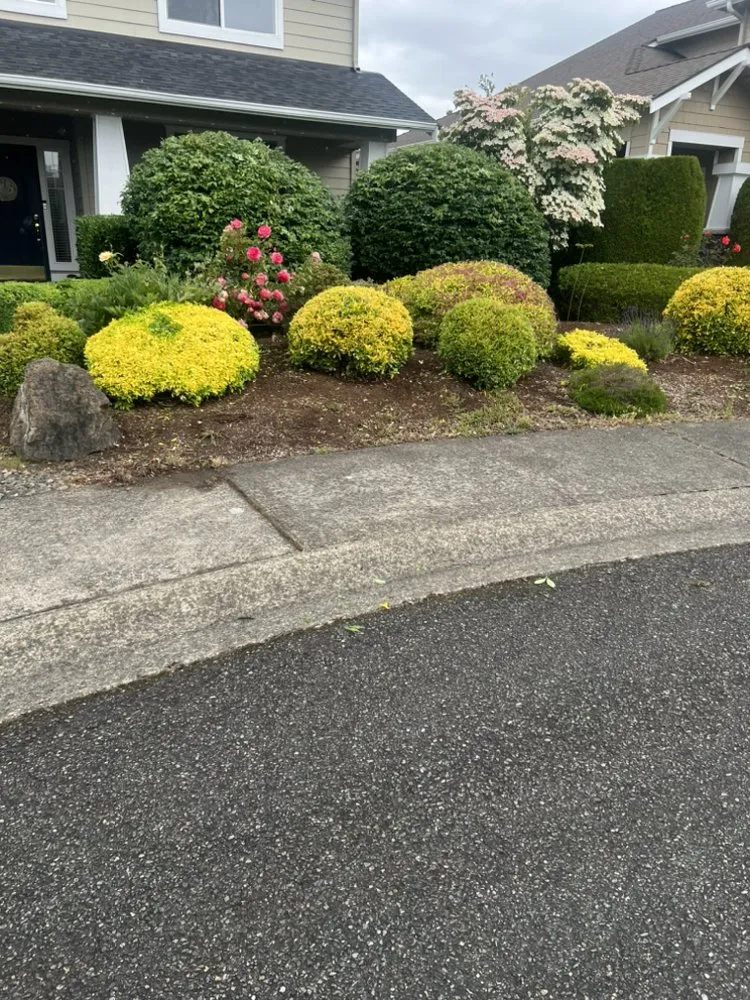 Custom yard cleanup service in Snohomish, WA by Rial Landscaping